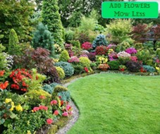 Add Flowers Mow Less