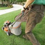 mowing the lawn with an all wheel moser